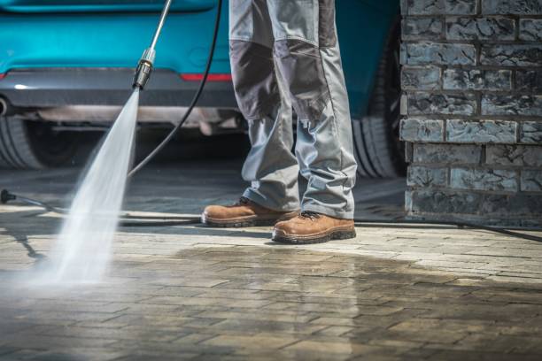 Best Driveway Pressure Washing  in West Miami, FL