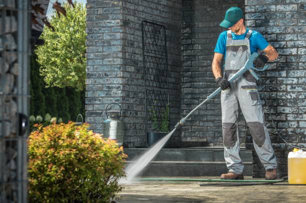 Best Soft Washing  in West Miami, FL