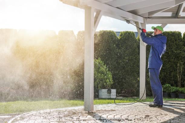 Best Roof Washing  in West Miami, FL
